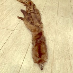 Original mink stole from the 1940s! Antique